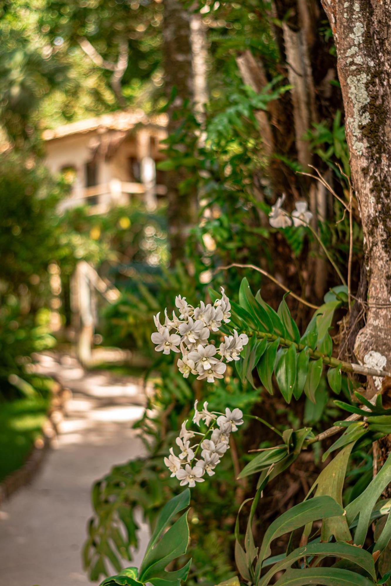 Hotel Boutique Bahia Bonita Trancoso Luaran gambar